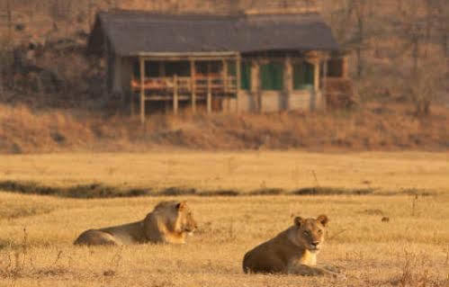 Sanctuary Makanyane Safari Lodge Madikwe Game Reserve Ngoại thất bức ảnh